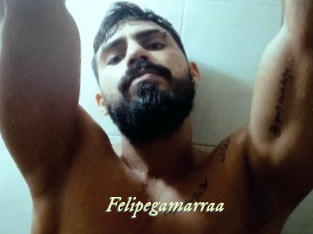 felipegamarraa Année du sexe