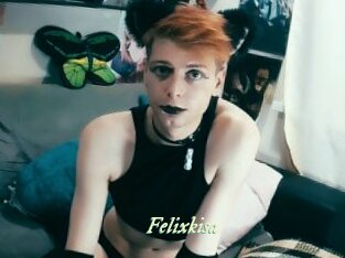 Felixkisa