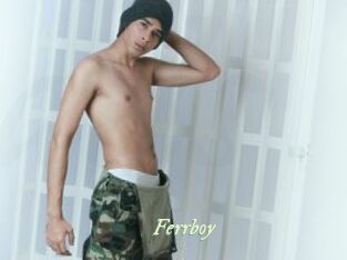 ferrboy Année du sexe
