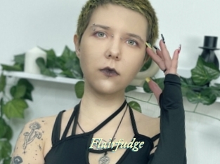 Flairfudge