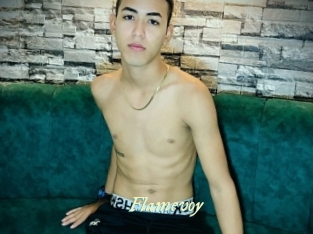 Flamevoy