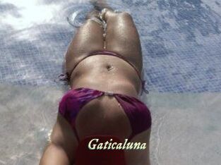Gaticaluna