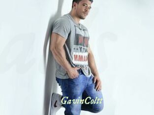 GavinColtt