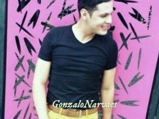 GonzaloNarvaes