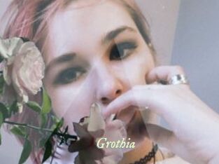 Grothia