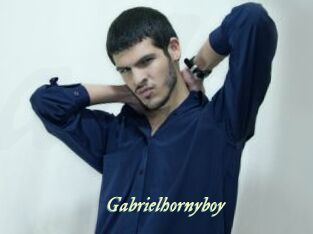 Gabrielhornyboy