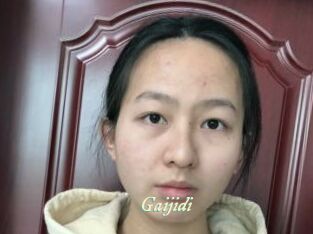 Gaijidi