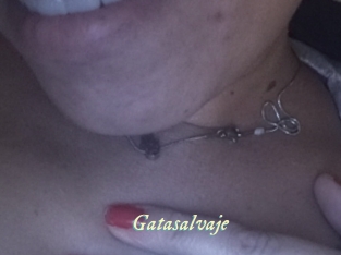 Gatasalvaje