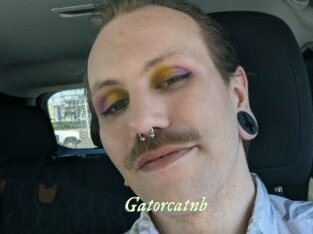 Gatorcatnb