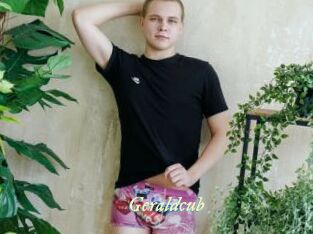 geraldcub Année du sexe