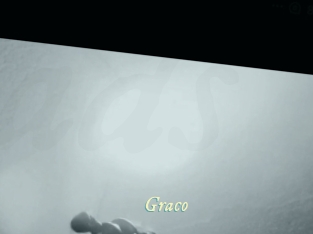 Graco
