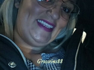 grosseins88 Année du sexe
