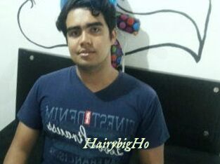 HairybigHo