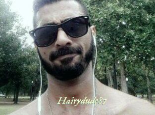 Hairydude87