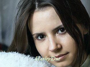 Harley_Due