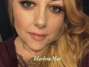 Harlow_Mae