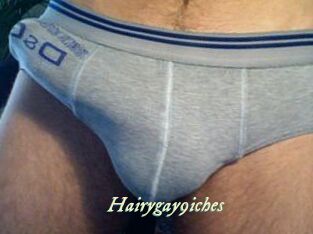 Hairygay9iches