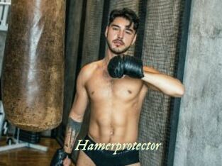 Hamerprotector