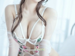hara Année du sexe