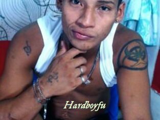 hardboyfu Année du sexe