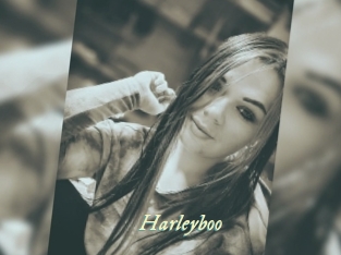 Harleyboo