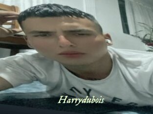 Harrydubois