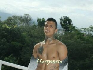 Harrymera