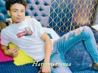 Harrymontanaa