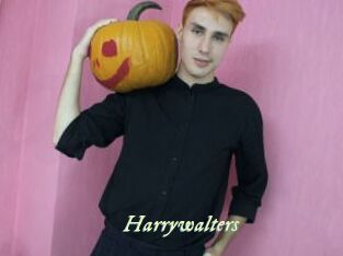 Harrywalters