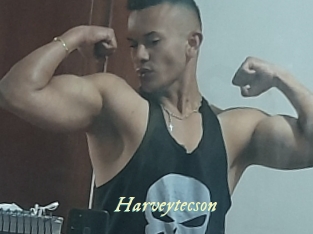 Harveytecson