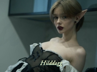 Hilddagg
