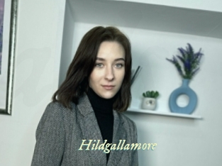 Hildgallamore