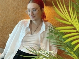 hildhalsted Année du sexe