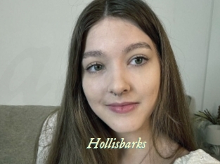 Hollisbarks