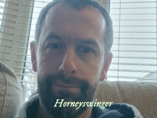 Horneyswinger