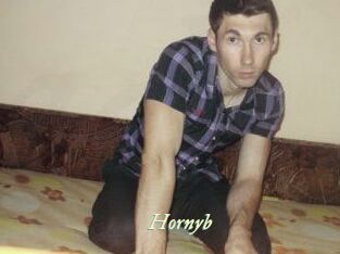 Hornyb