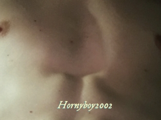 Hornyboy2002