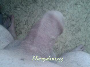 Hornydan1733