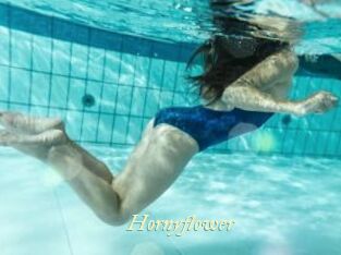 Hornyflower