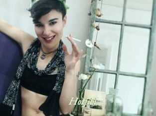 Hotfibi
