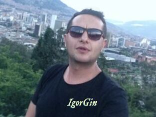 IgorGin