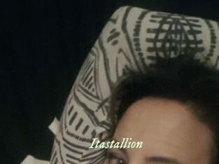 Itastallion