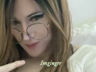 Imginger