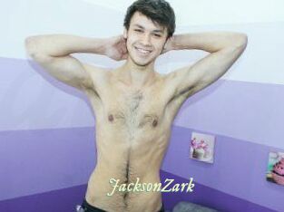 JacksonZark Année du sexe