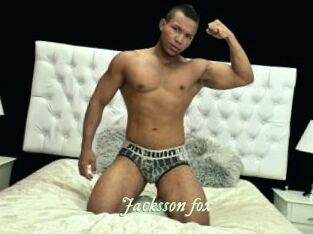 Jacksson_fox