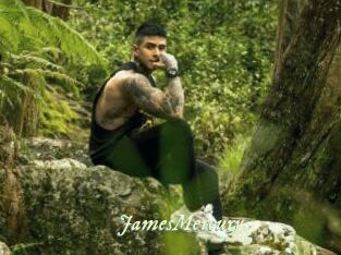 JamesMercury Année du sexe