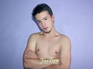 JayTorn Année du sexe