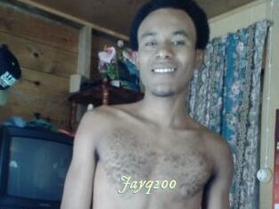 Jayq200