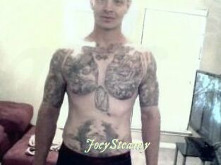 JoeySteamy Année du sexe