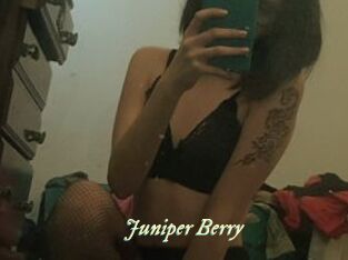 Juniper_Berry